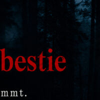 Buchtrailer Die Spitzwaldbestie